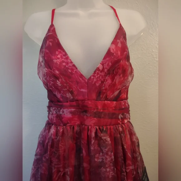 Lulu's Romance That Wows Magenta Floral Print Organza Maxi Dress - Picture 8 of 14